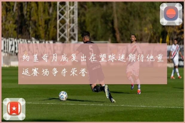 约基奇月底复出在望球迷期待他重返赛场争夺荣誉